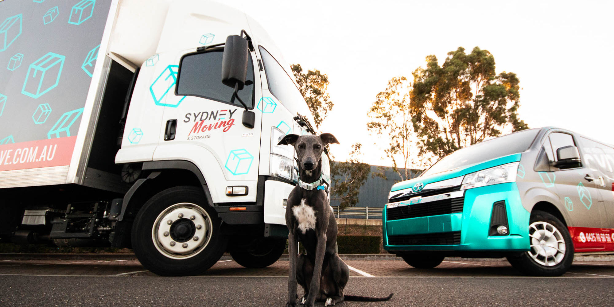 Sydney Moving & Storage