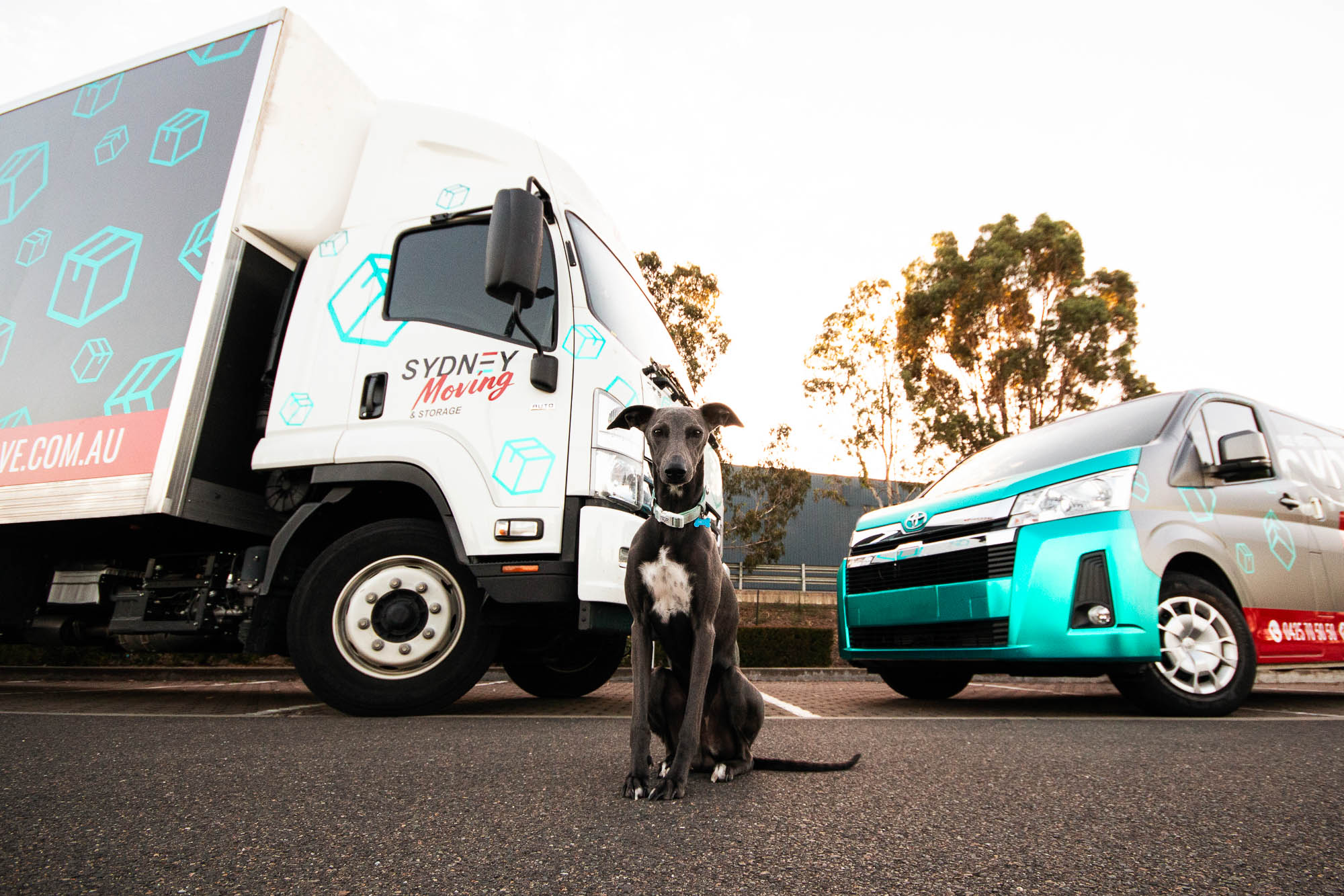 EcoFriendly Moving Tips for Eastern Suburbs Residents